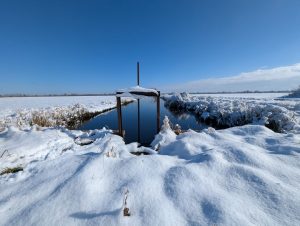 Winterimpressionen (1) - H. Müller