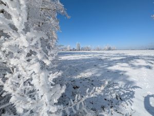 Winterimpressionen (11) - H. Müller