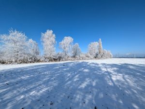 Winterimpressionen (13) - H. Müller