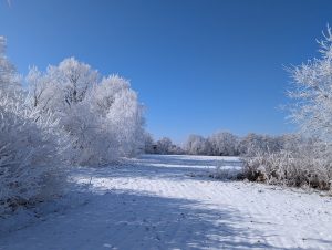 Winterimpressionen (14) - H. Müller
