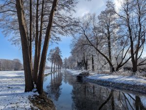 Winterimpressionen (15) - H. Müller