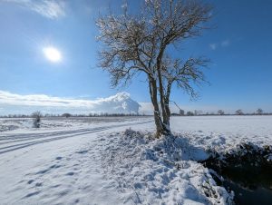 Winterimpressionen (2) - H. Müller