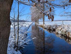 Winterimpressionen (4) - H. Müller