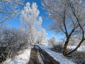 Winterimpressionen (7) - H. Müller