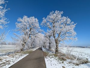 Winterimpressionen (8) - H. Müller