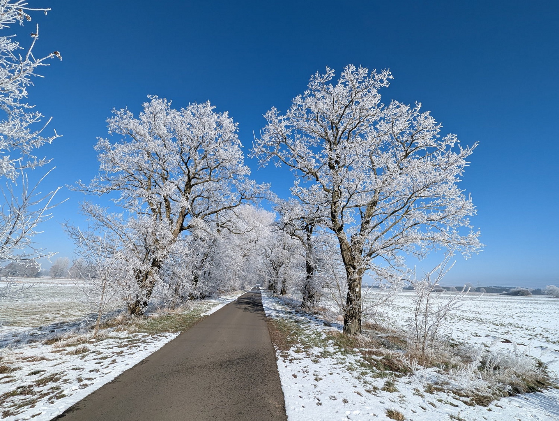 Winterimpressionen (8) - H. Müller