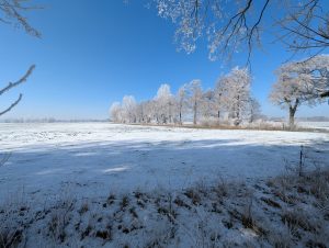 Winterimpressionen (9) - H. Müller