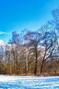 Winterintermezzo - K. - F. Muehler (2)