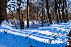 Winterintermezzo - K. - F. Muehler (3)