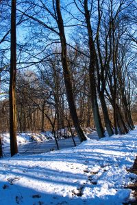 Winterintermezzo - K. - F. Muehler (4)