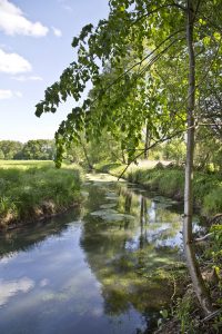 Landgraben bei Müschen-Peter Mauksch