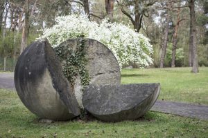 Mahnung-Peter Mauksch