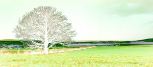 Landschaft-Peter Mauksch