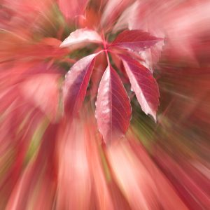 Windiger Herbst - Peter Mauksch