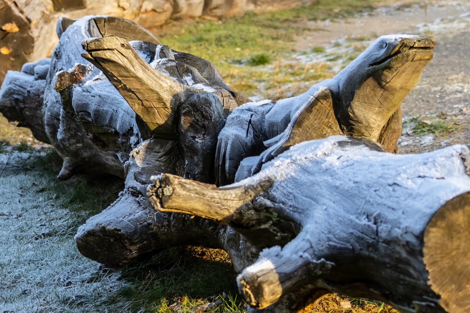 Holztiere - B.Möcker