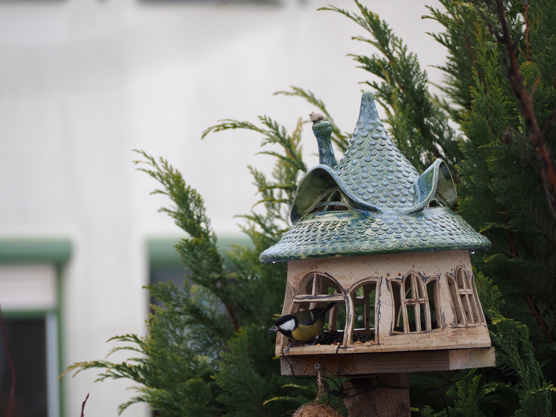 Futterplatz - Bernd Opel