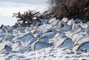 Schneegestalten - Kerstin Fetsch