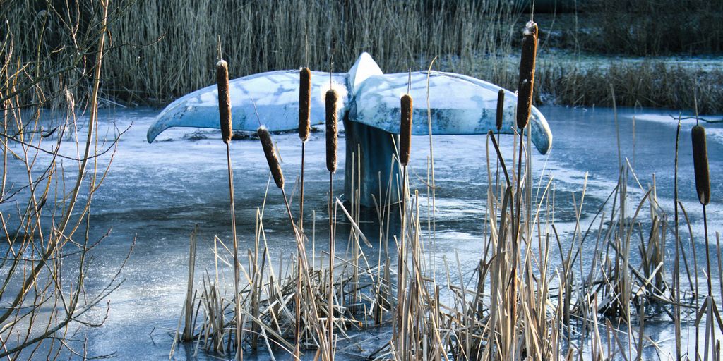Aufgetaucht und festgefroren ... - K. - F. Muehler