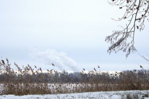 Immer noch benoetigt - K. - F. Muehler