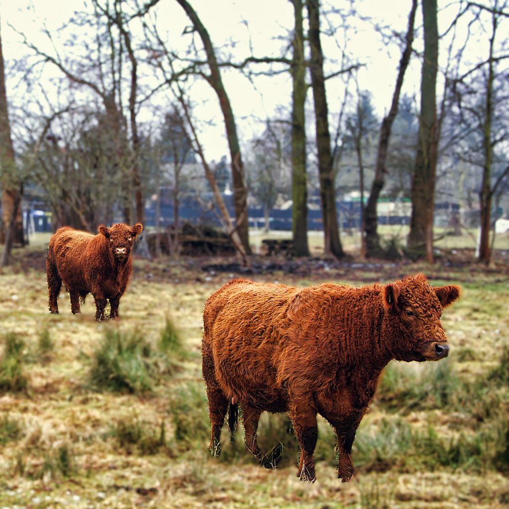 Winterfeste Gesellen - K. - F. Muehler