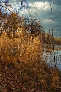 Winterromantik - K. - F. Muehler