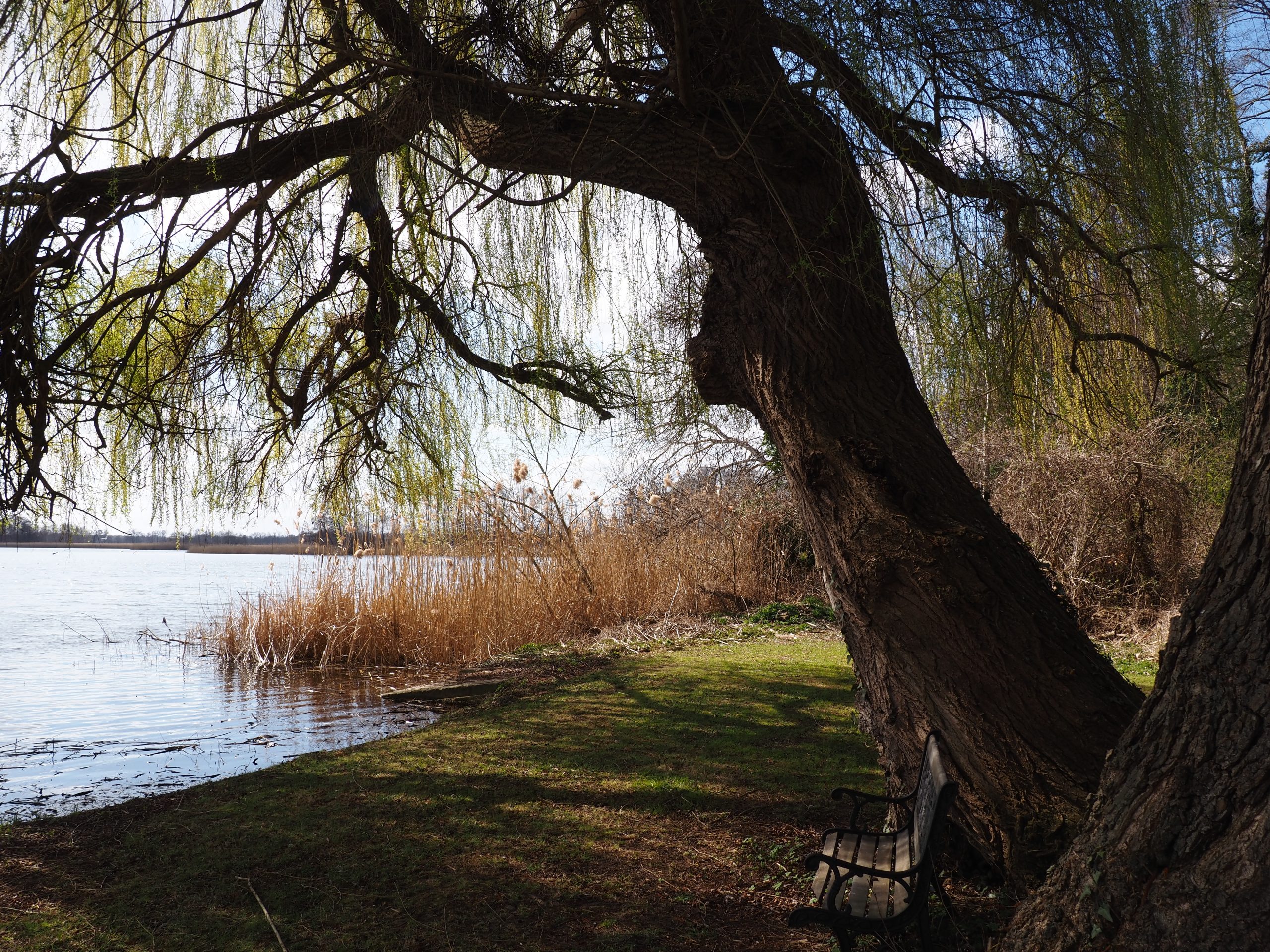 Alte Bahnhofstraße Peitz - Bernd Opel