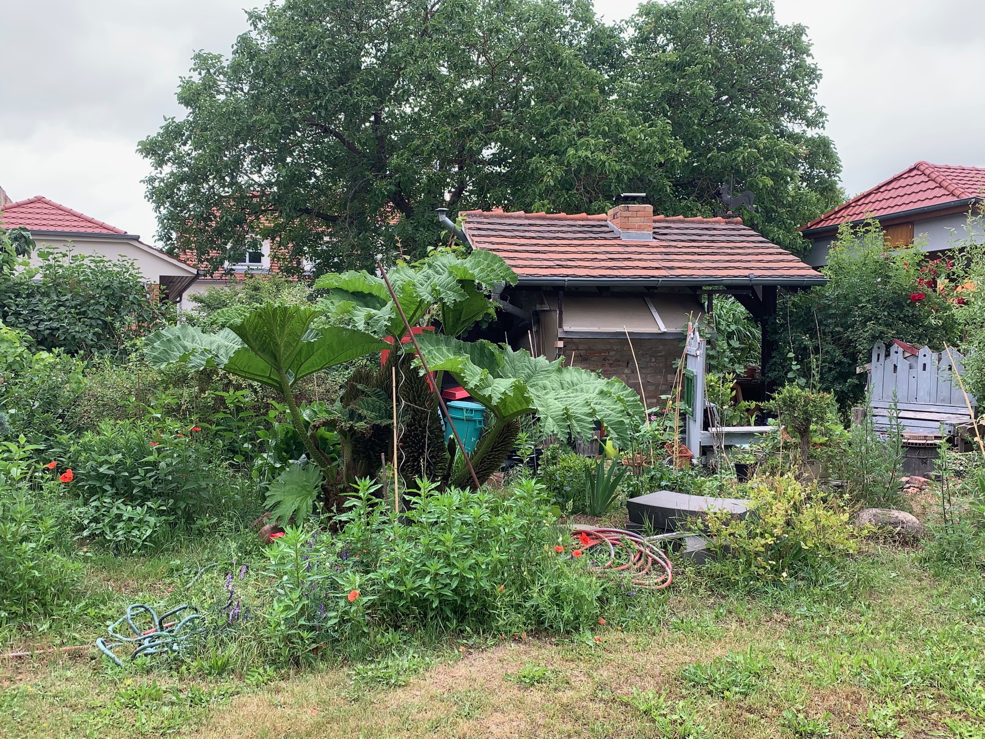 Gartenimpressionen - Bernd Opel