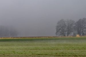 Morgennebel - B.Möcker