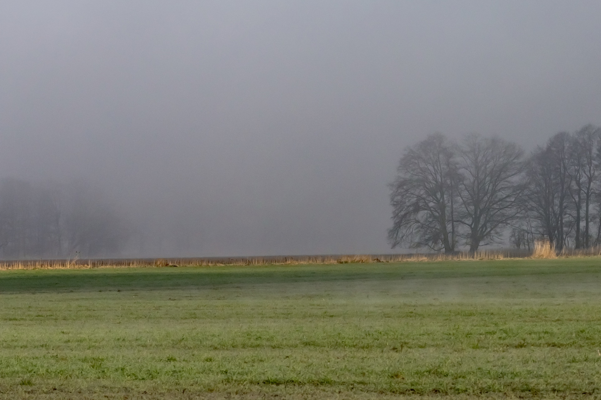 Morgennebel - B.Möcker